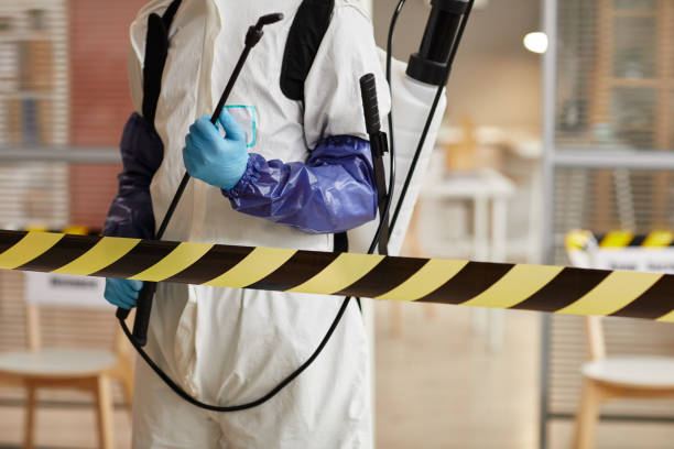 Professional Sewage Cleanup technician working in Firestone, CO